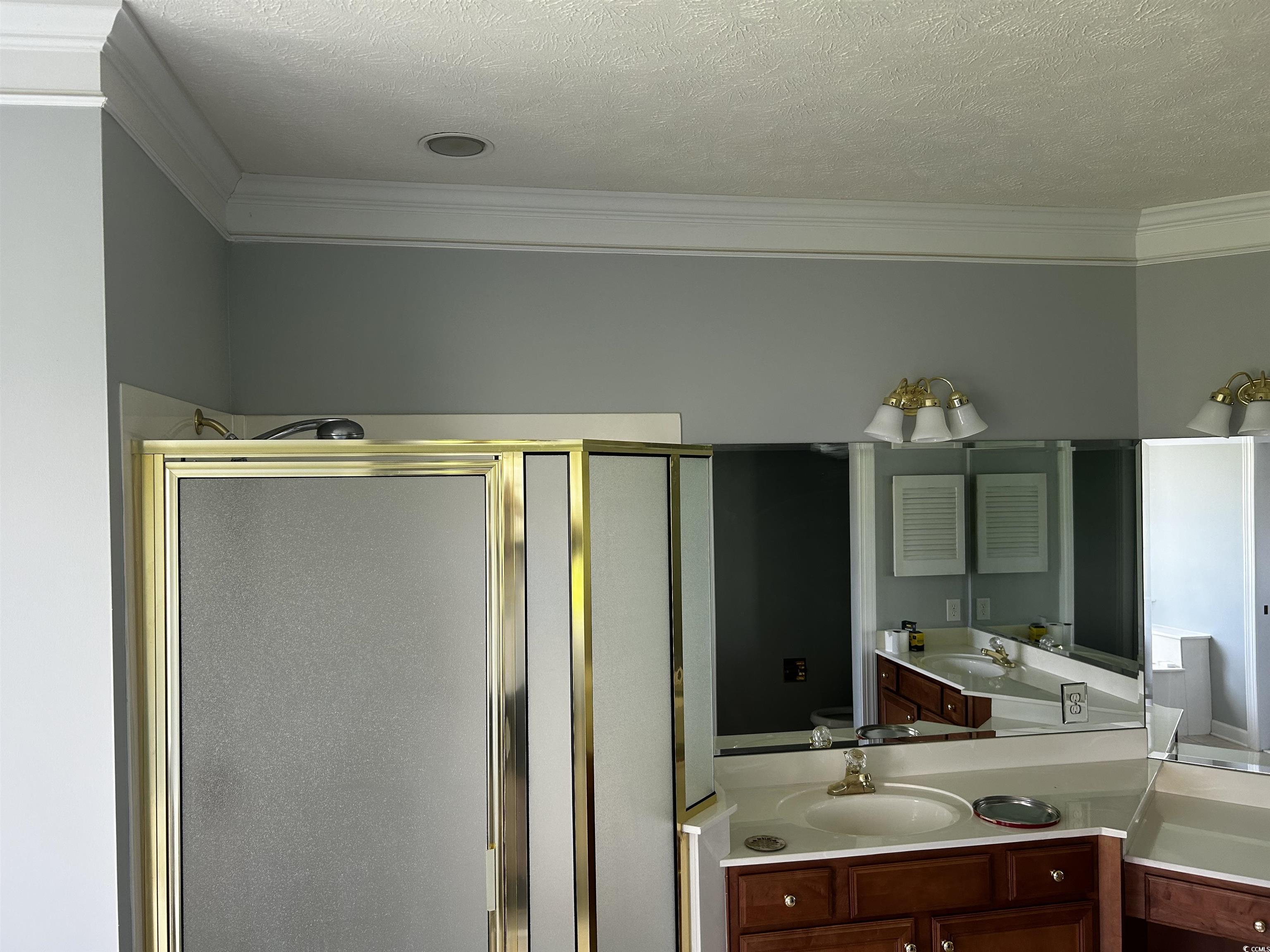 1300 Manchester Court Murrells Inlet, SC 29576 - Photo 21 of 40 Bathroom featuring walk in shower, vanity, a textu