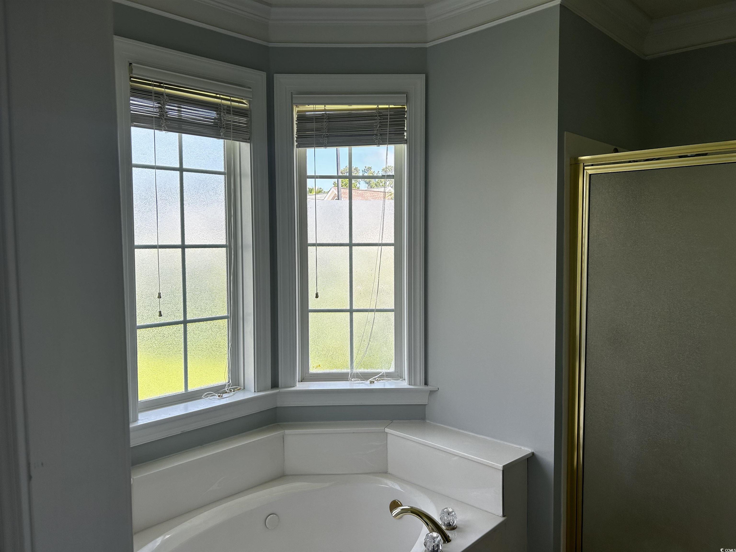 1300 Manchester Court Murrells Inlet, SC 29576 - Photo 22 of 40 Bathroom featuring a wealth of natural light, orna
