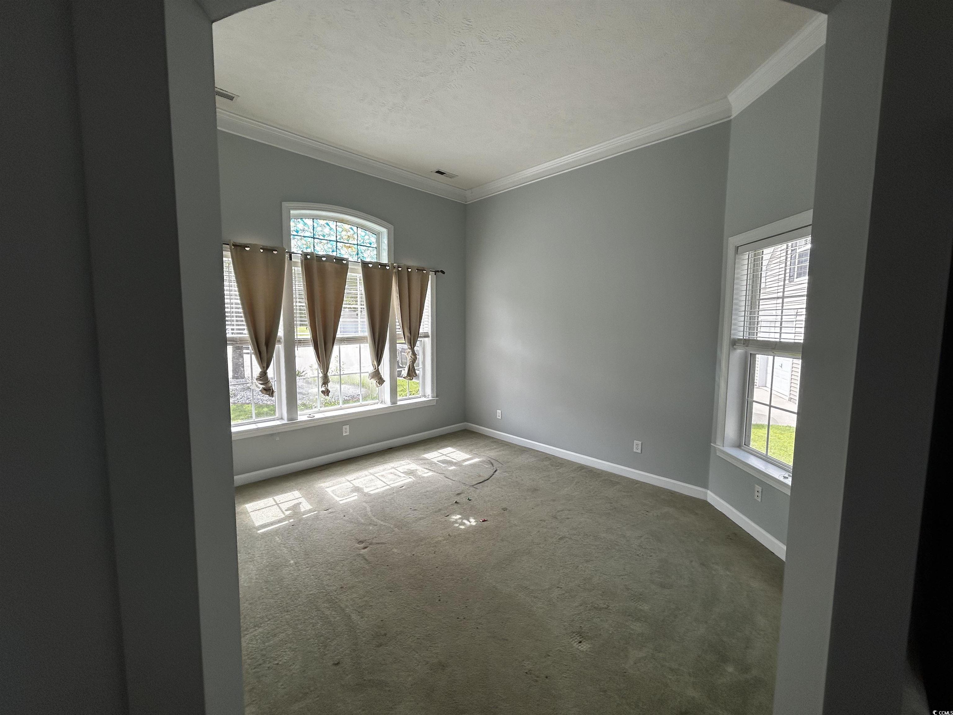 1300 Manchester Court Murrells Inlet, SC 29576 - Photo 27 of 40 Carpeted spare room featuring a wealth of natural