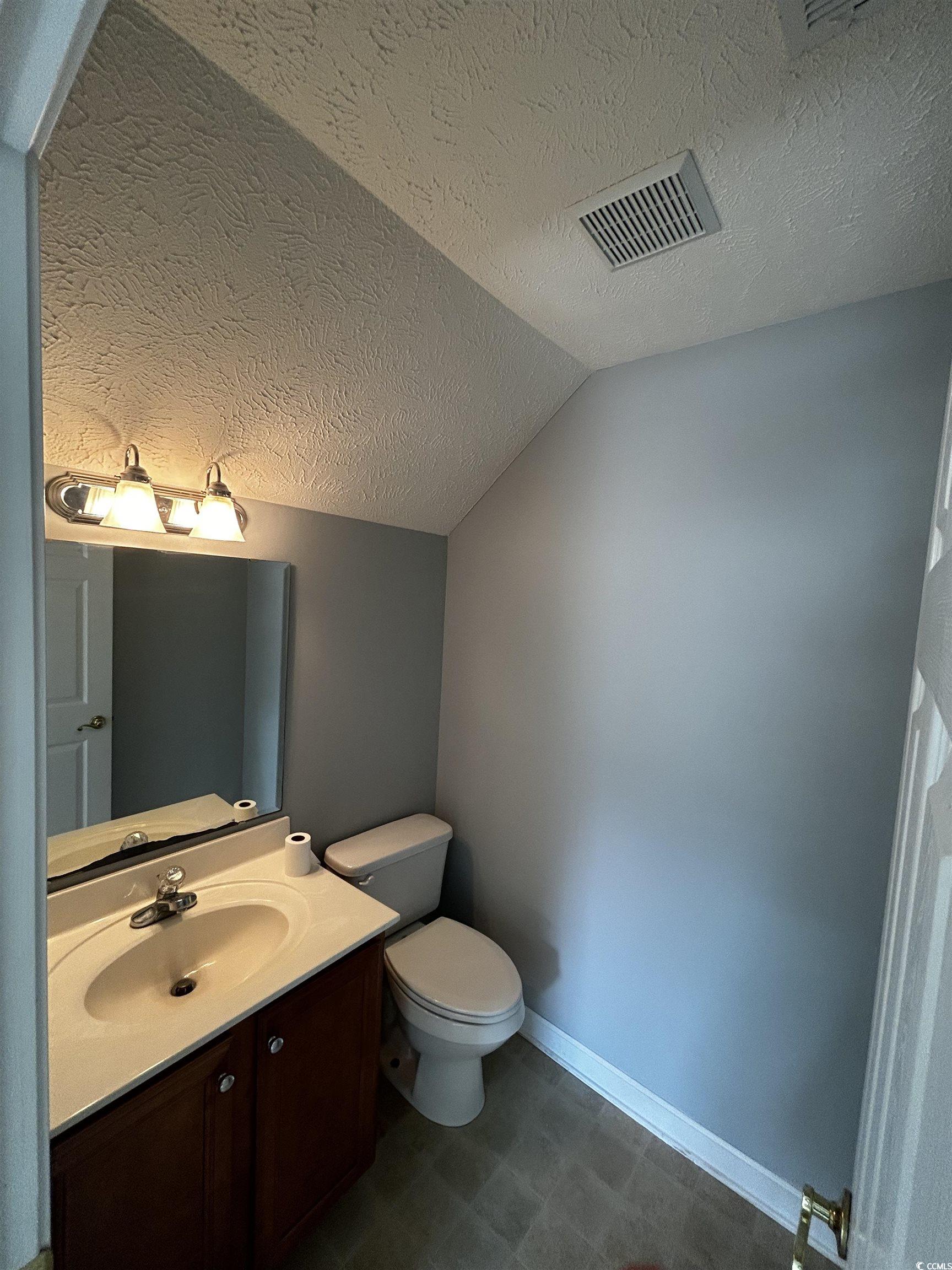 1300 Manchester Court Murrells Inlet, SC 29576 - Photo 40 of 40 Bathroom with a textured ceiling, lofted ceiling,