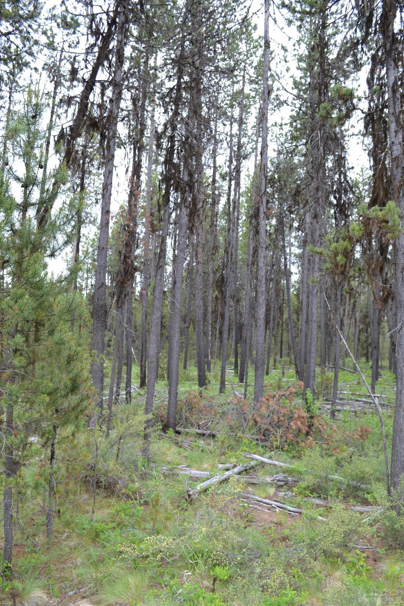 17137 Glendale Road Bend, OR 97707 - Photo 1 of 4 Primary Photo