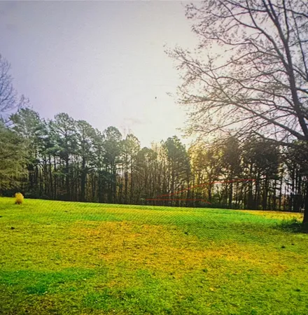 a view of a field with trees in the background