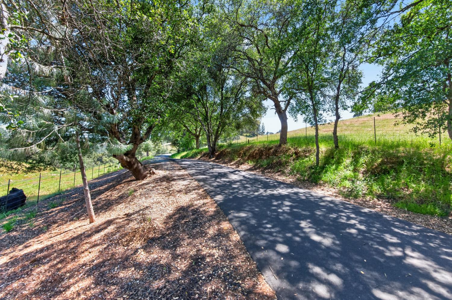 7570 Airola Road Vallecito, CA 95251 - Photo 54 of 90 a view of outdoor space and yard