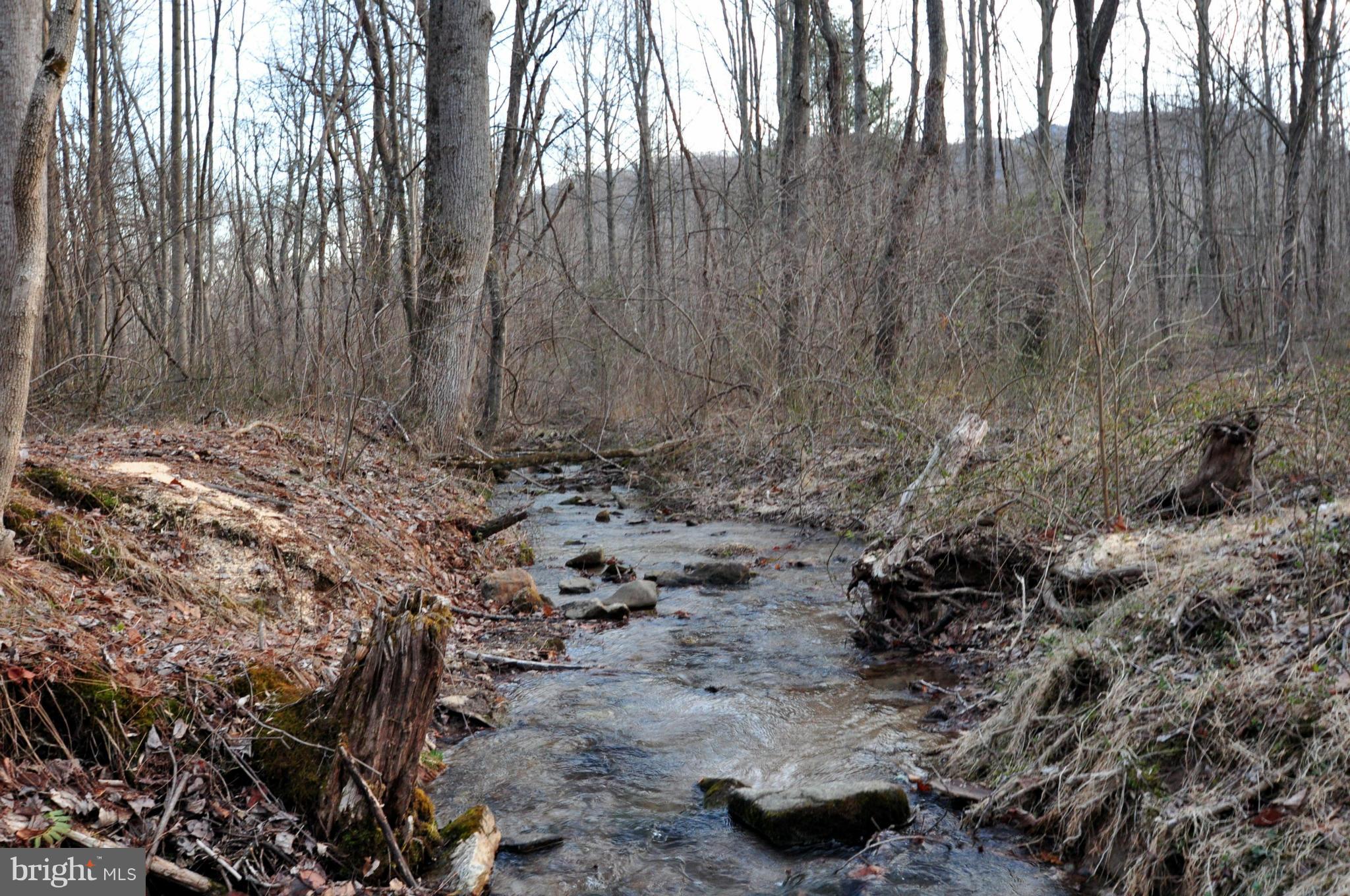 Pine Hill Road Sperryville, VA 22740 - Photo 1 of 11 Creek