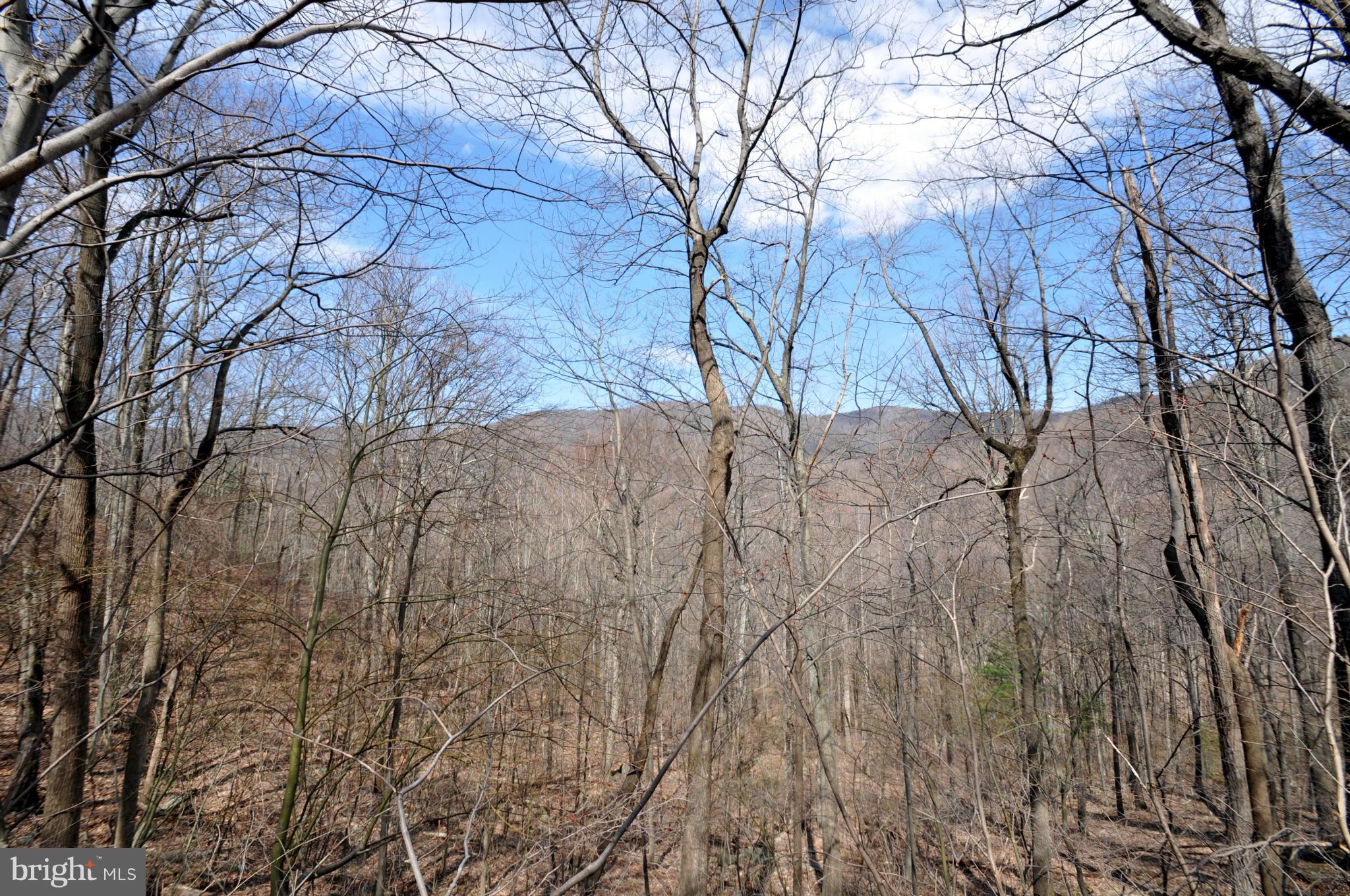 Pine Hill Road Sperryville, VA 22740 - Photo 11 of 11 View of the Mountains