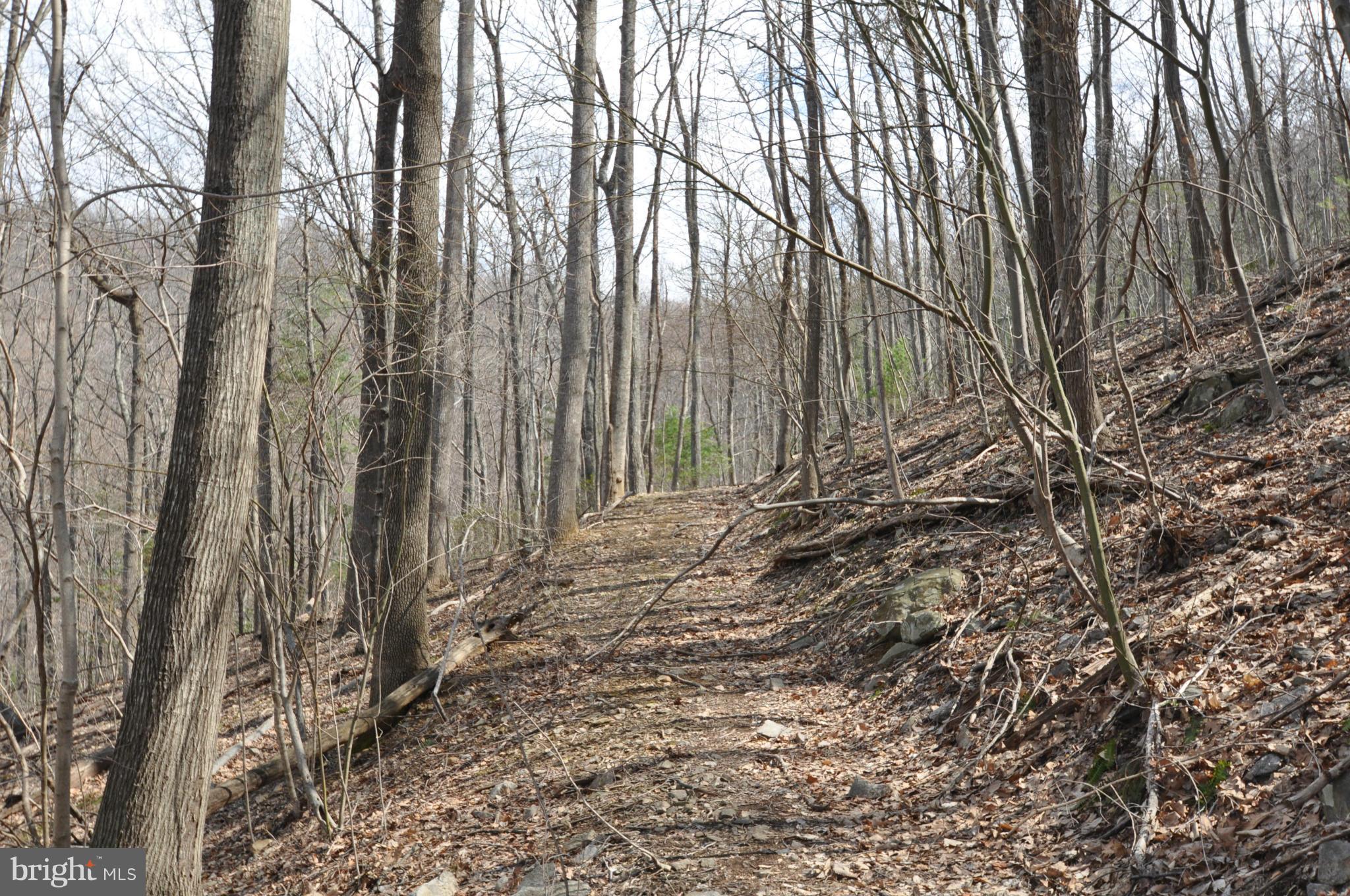 Pine Hill Road Sperryville, VA 22740 - Photo 7 of 11 Logging Trails