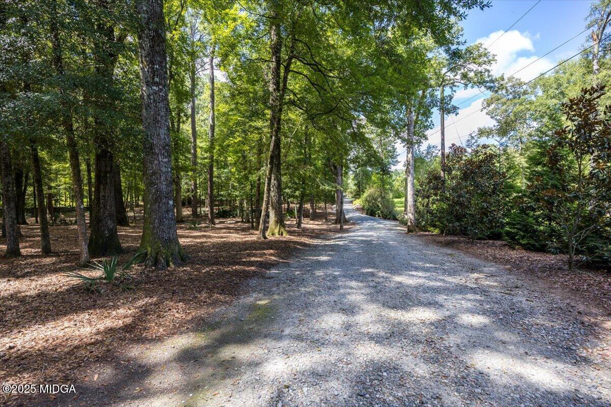 11 River Trace Macon, GA 31210 - Photo 25 of 61 a view of a forest with trees in the background