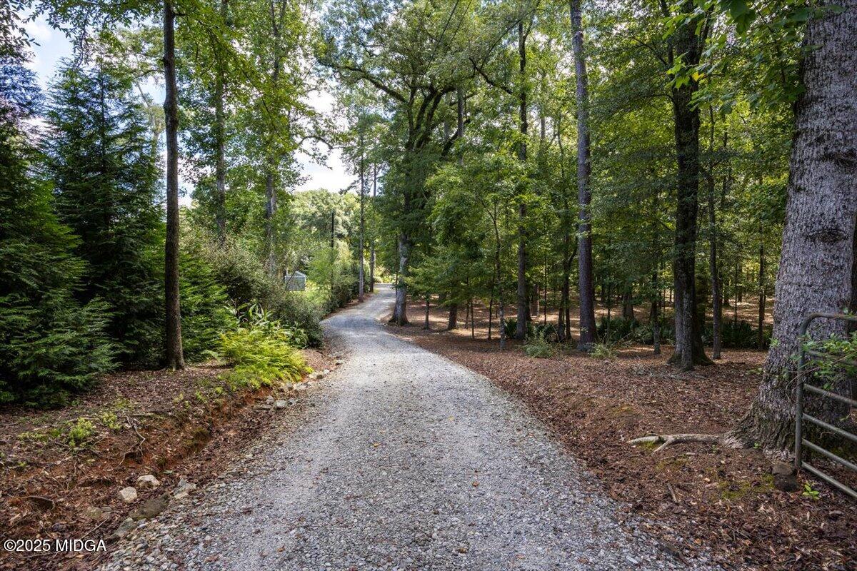 11 River Trace Macon, GA 31210 - Photo 26 of 61 a view of a forest with trees in the background