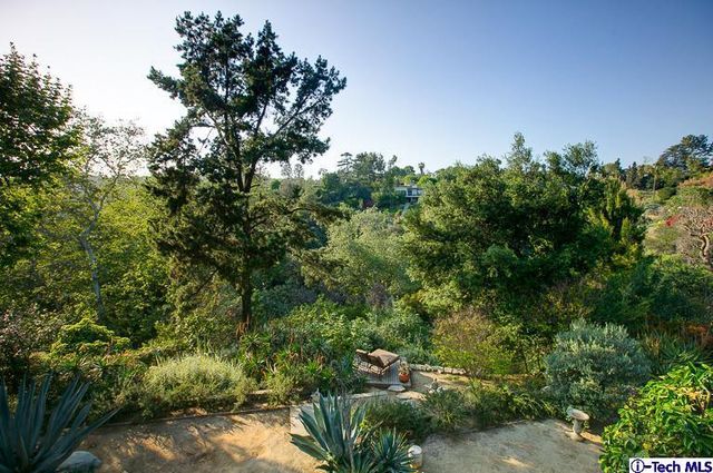 a view of a plants in a backyard of a house