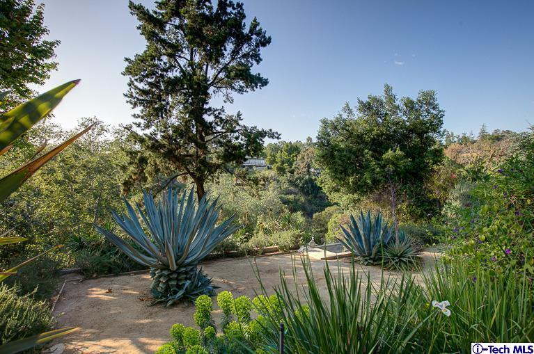 385 Manford Way Pasadena, CA 91105 - Photo 34 of 44 a view of a plants in a backyard of a house