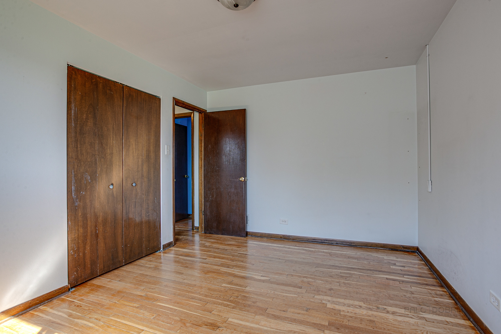 1951 West Spring Ridge Drive Arlington Heights, IL 60004 - Photo 13 of 25