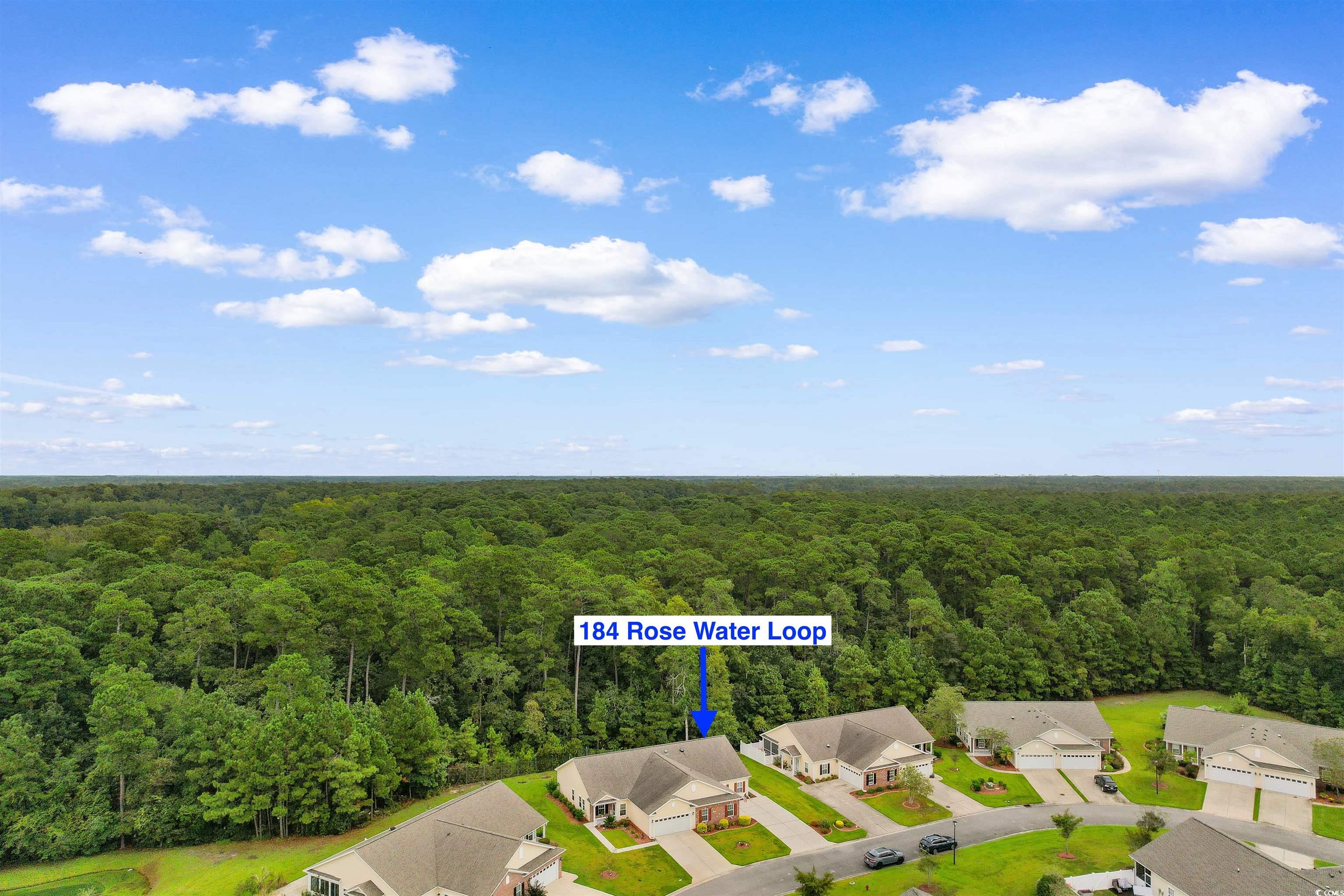 184 Rose Water Loop Myrtle Beach, SC 29588 - Photo 29 of 40