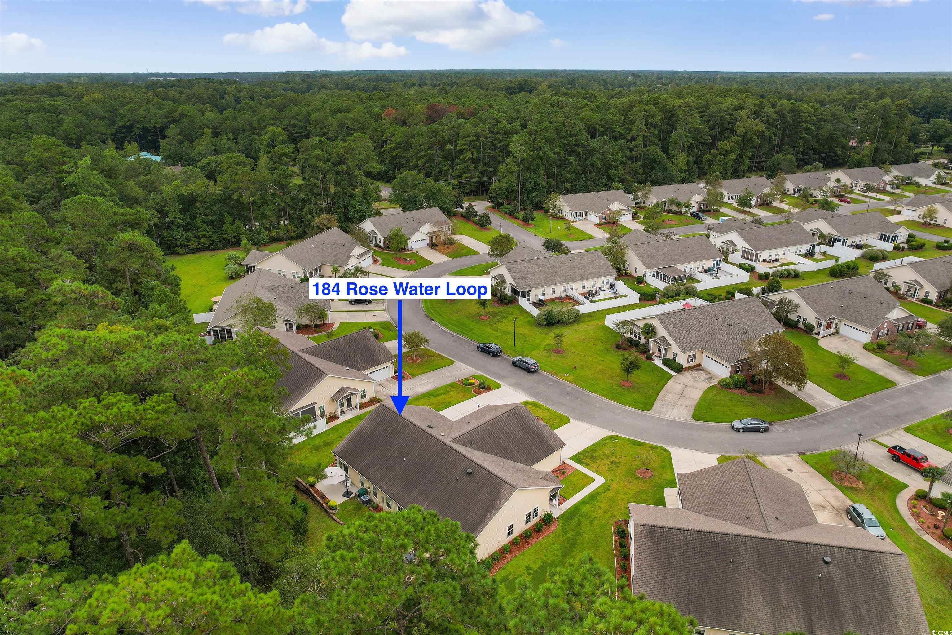 184 Rose Water Loop Myrtle Beach, SC 29588 - Photo 31 of 40