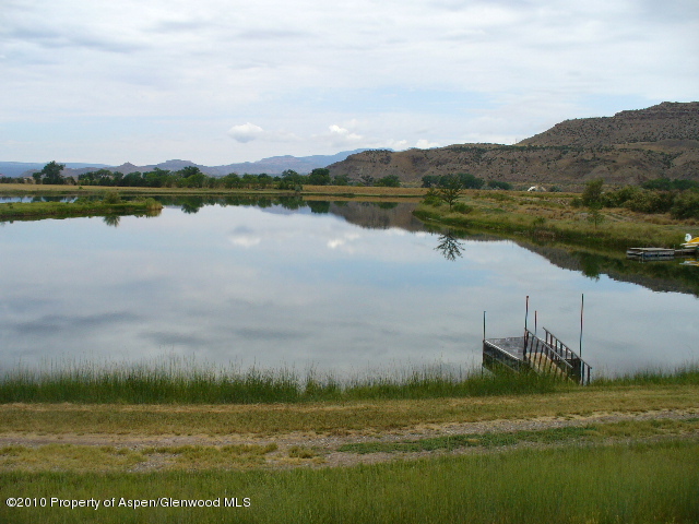 2381 46.5 Road De Beque, CO 81630 - Photo 13 of 21 12