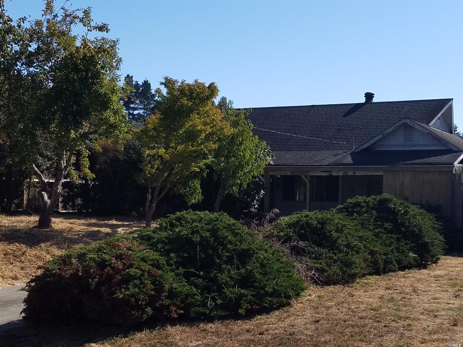 22925 Conifer Drive Monte Rio, CA 95462 - Photo 1 of 1 Gallery Image 1
