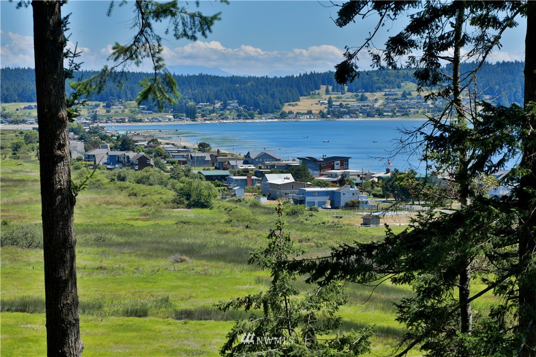 6188 Double Bluff Road Freeland, WA 98249 - Photo 11 of 40 a view of a garden from a balcony