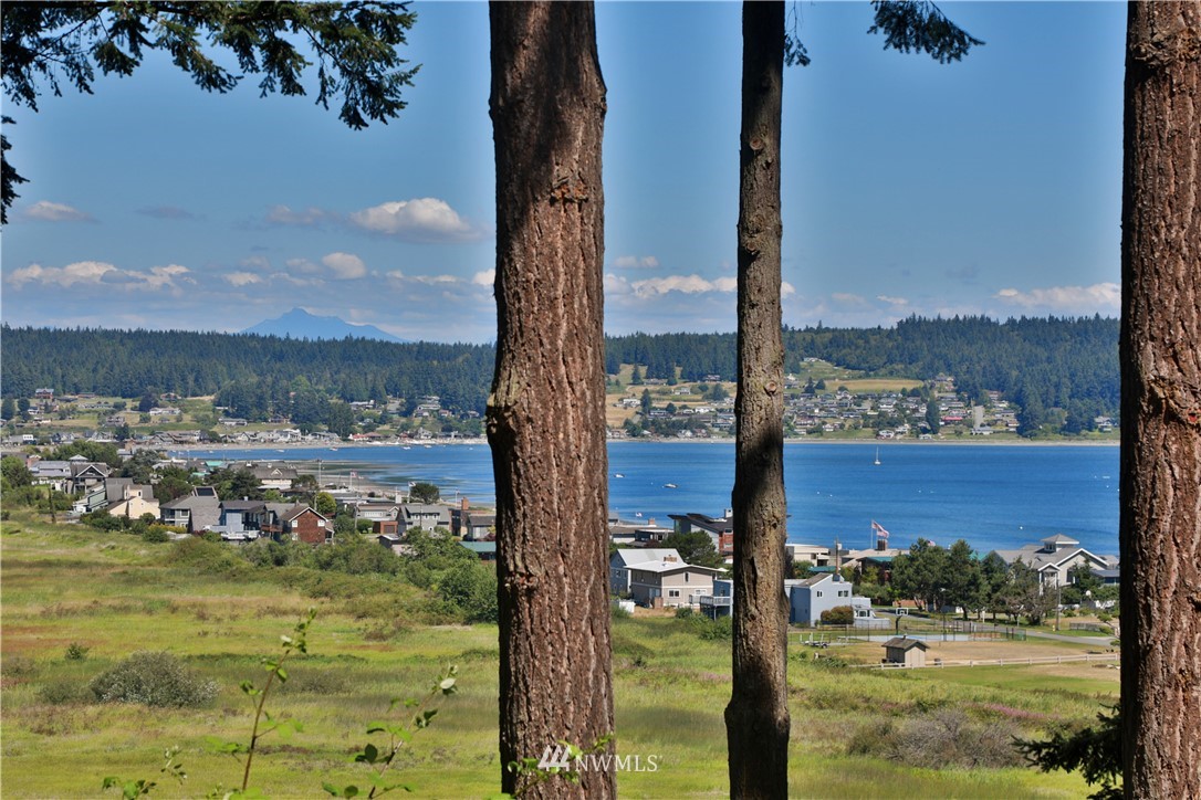 6188 Double Bluff Road Freeland, WA 98249 - Photo 12 of 40 a view of lake