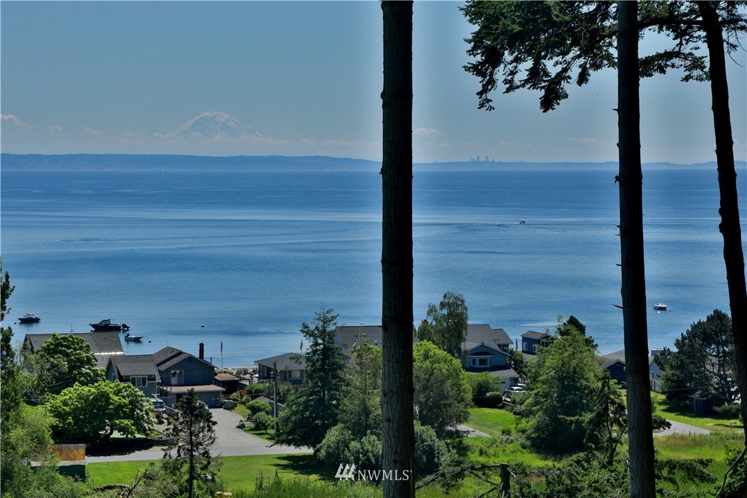 6188 Double Bluff Road Freeland, WA 98249 - Photo 13 of 40 a view of a lake with a tree in front of it