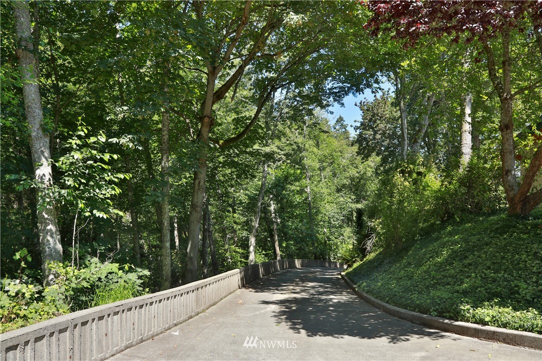6188 Double Bluff Road Freeland, WA 98249 - Photo 38 of 40 a view of a forest with trees in the background