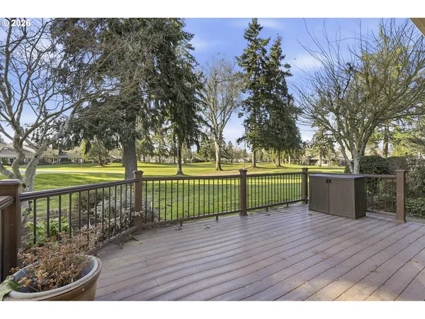 a view of a big yard with a large trees
