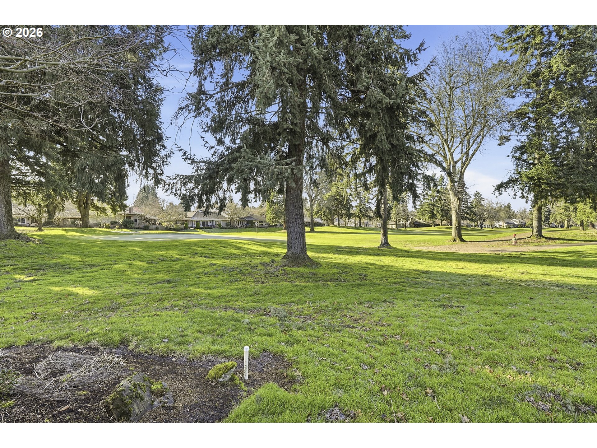 32565 Southwest Lake Point Court Wilsonville, OR 97070 - Photo 43 of 48 a view of a park with large trees