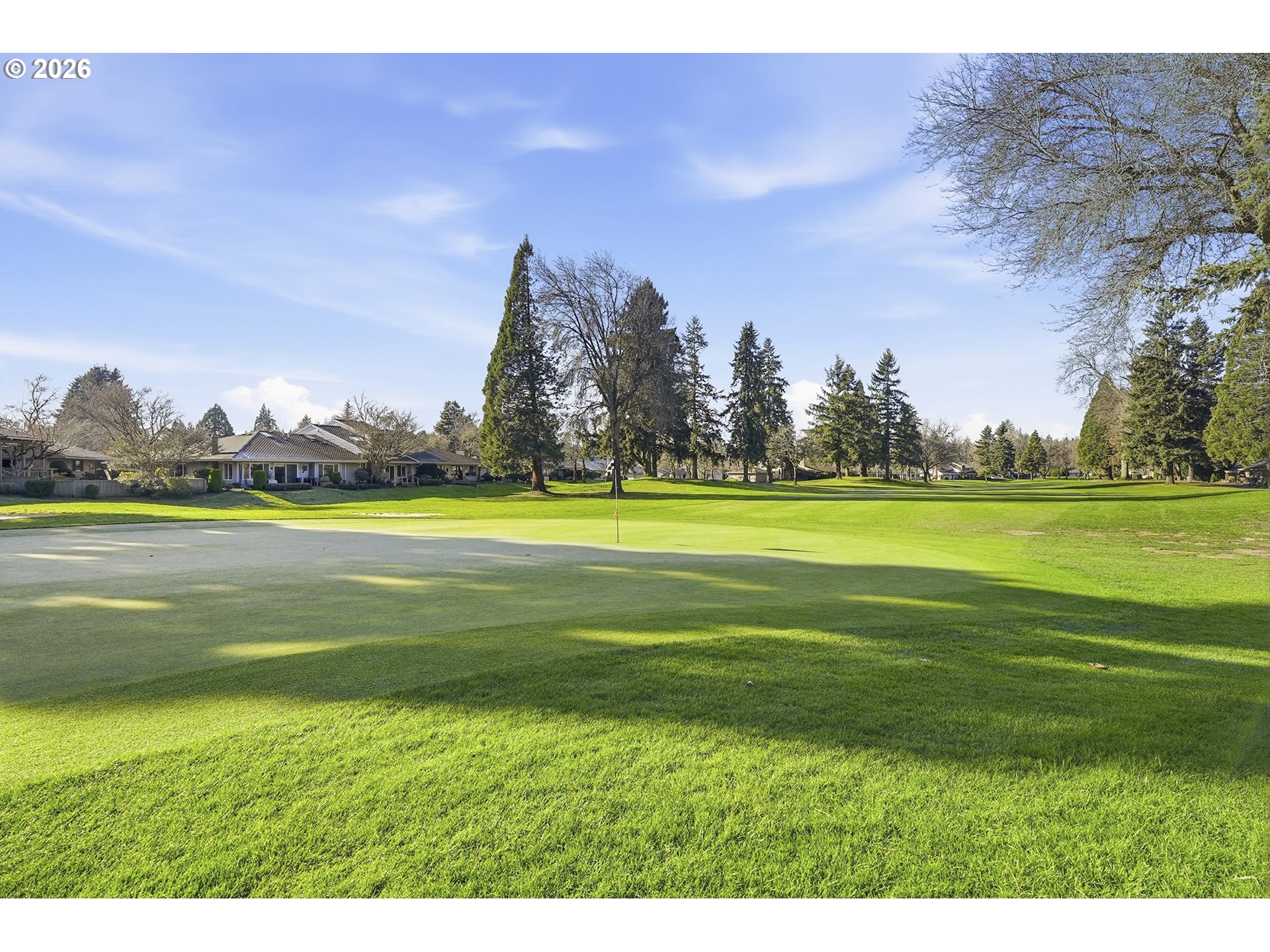 32565 Southwest Lake Point Court Wilsonville, OR 97070 - Photo 45 of 48 a view of a big yard with a large trees