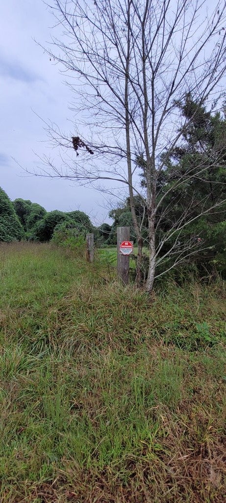 616 South Genito Road, Unit 1 Burkeville, VA 23922 - Photo 3 of 16 Gallery Image 3