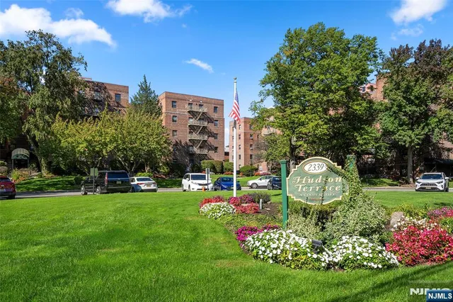 a view of a park with plants and large trees