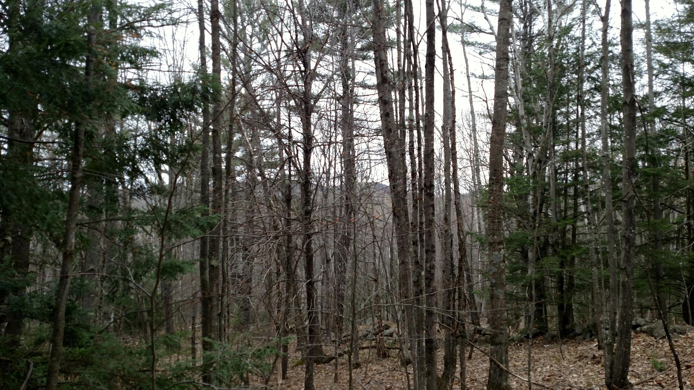93 Rohr Road Limerick, ME 04048 - Photo 6 of 10 mountain view (west)