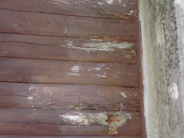 81 Henning Road Albrightsville, PA 18210 - Photo 12 of 29 a view of door