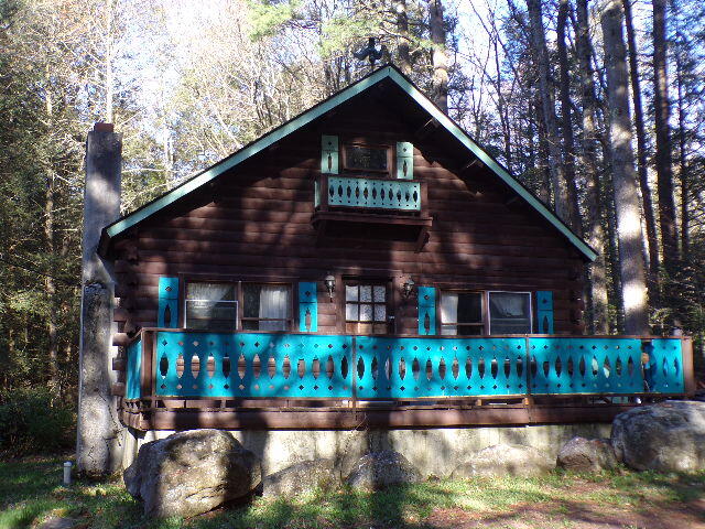 81 Henning Road Albrightsville, PA 18210 - Photo 4 of 29 a view of a house with a yard and potted plants