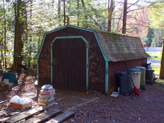81 Henning Road Albrightsville, PA 18210 - Photo 8 of 29 a view of outdoor space and yard