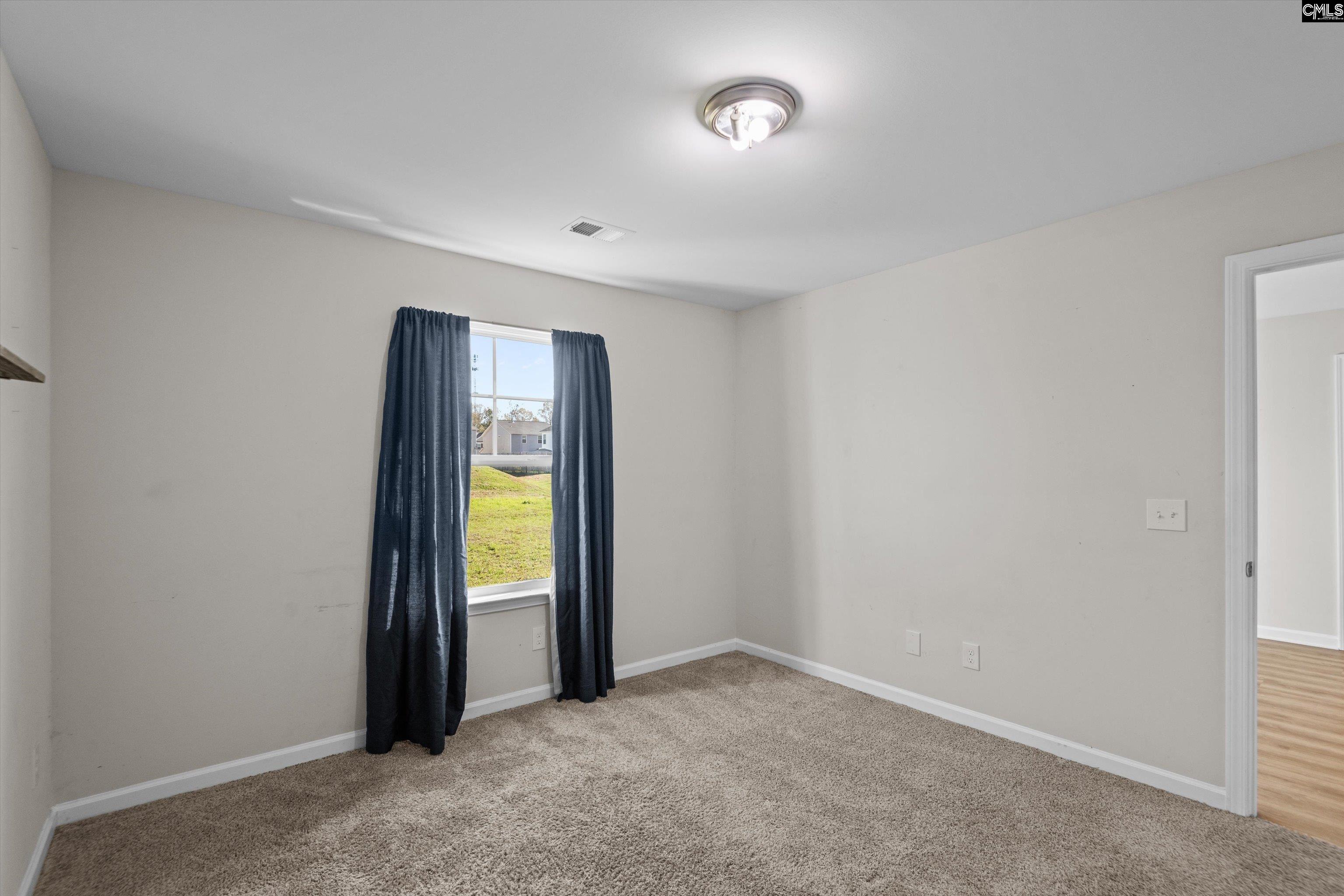 297 Wahoo Circle Irmo, SC 29063 - Photo 22 of 25