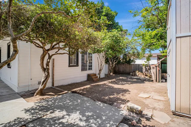 a view of a backyard with a tree