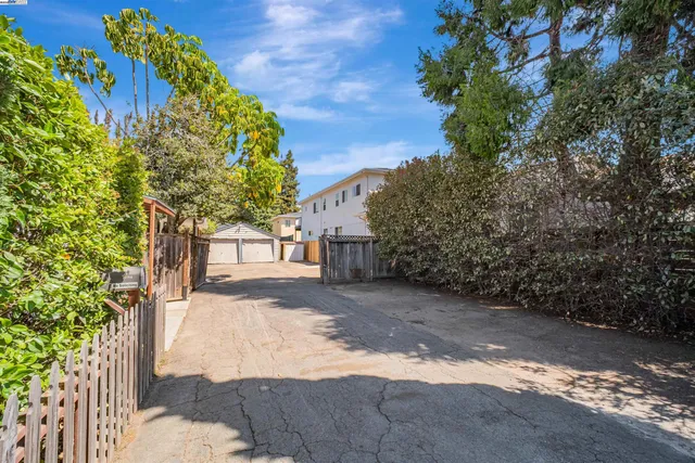 a view of a yard with plants and trees