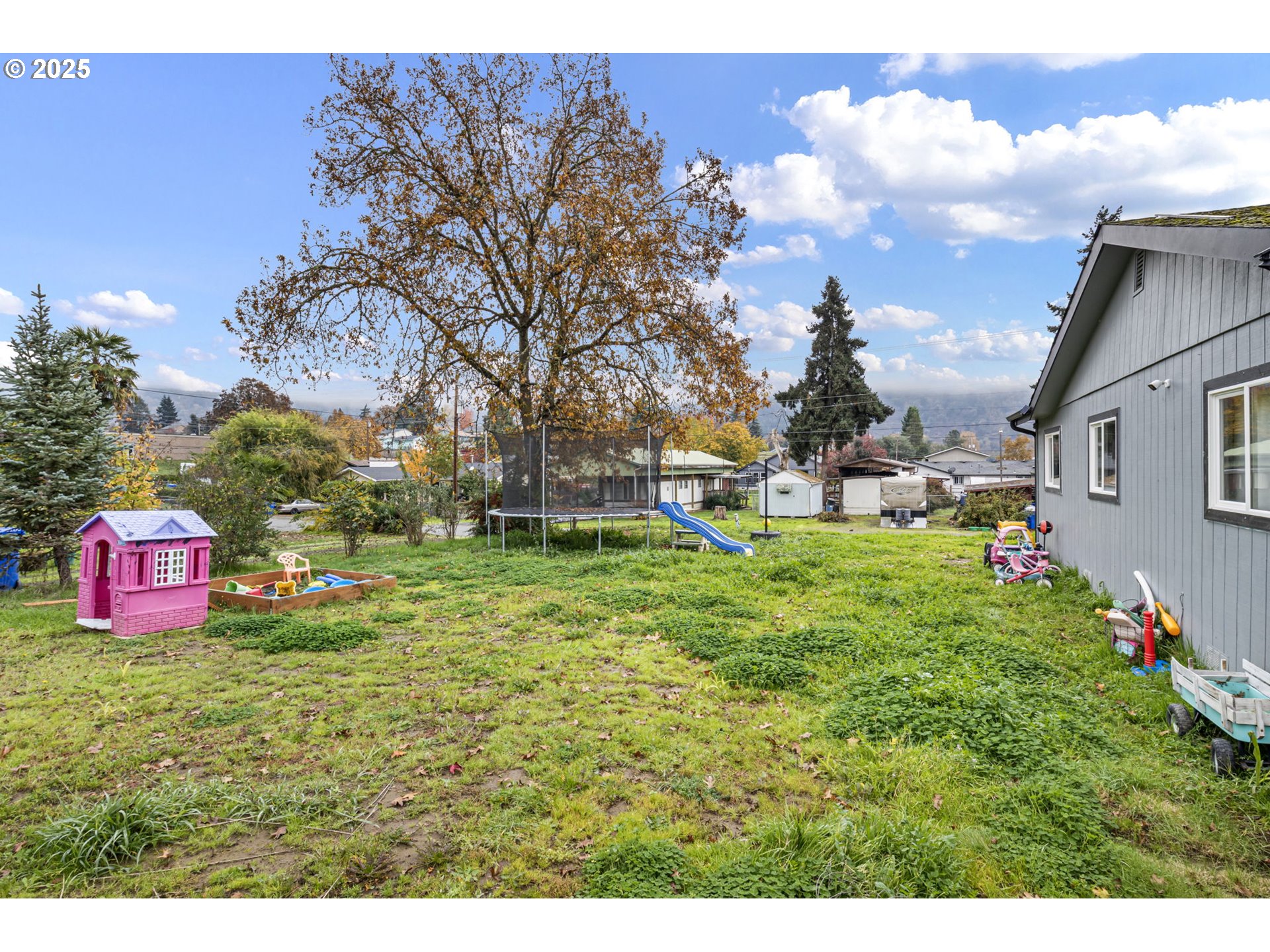 350 Park Street Winston, OR 97496 - Photo 22 of 25 a view of a house with a yard