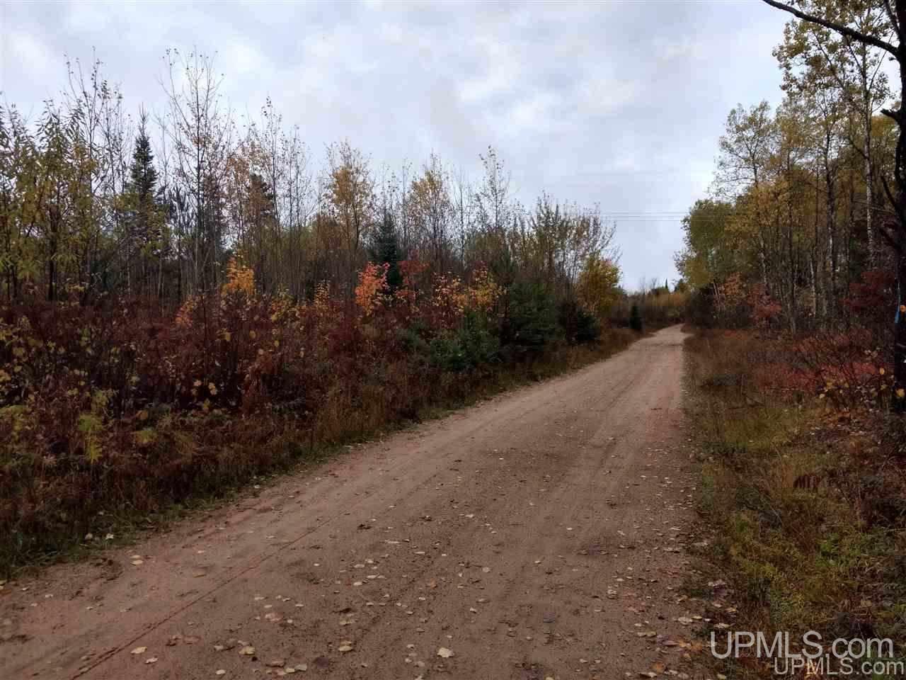31-acres Chain Of Lakes Road Republic, MI 49879 - Photo 15 of 19 Gallery Image 15