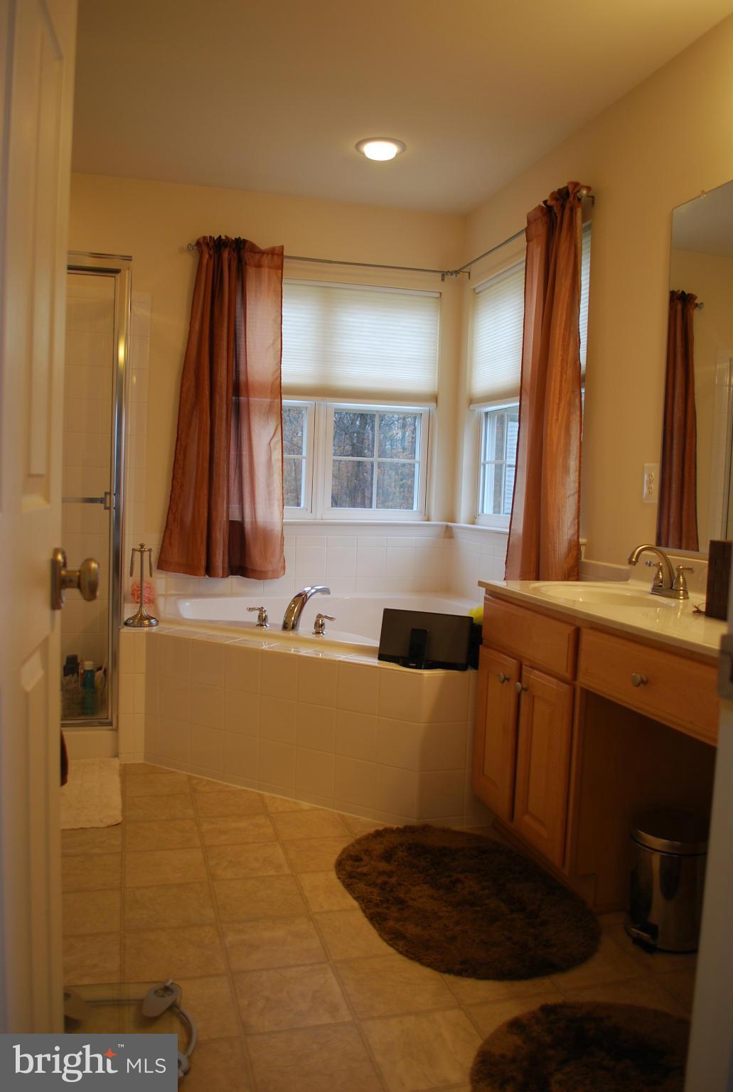 13808 Vanderbilt Way Laurel, MD 20707 - Photo 13 of 24 Bath (Master)