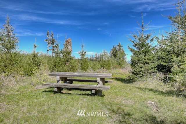 6 Freeman Road Kalama, WA 98625 - Photo 14 of 15 Gallery Image 14