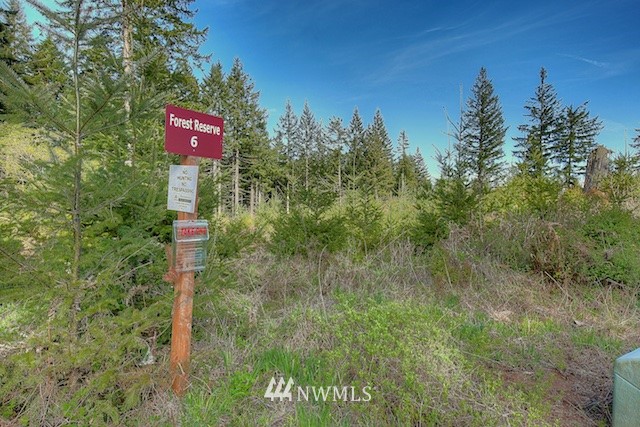 6 Freeman Road Kalama, WA 98625 - Photo 3 of 15 Gallery Image 3