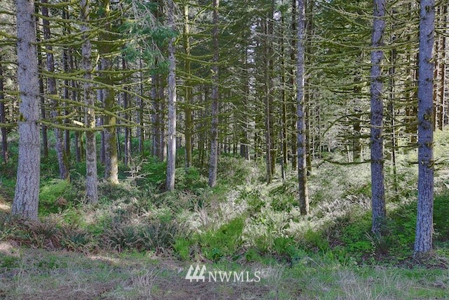 6 Freeman Road Kalama, WA 98625 - Photo 4 of 15 Gallery Image 4