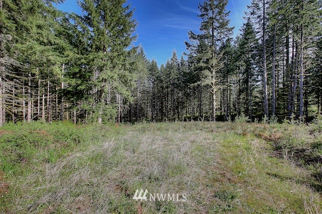 6 Freeman Road Kalama, WA 98625 - Photo 5 of 15 Gallery Image 5