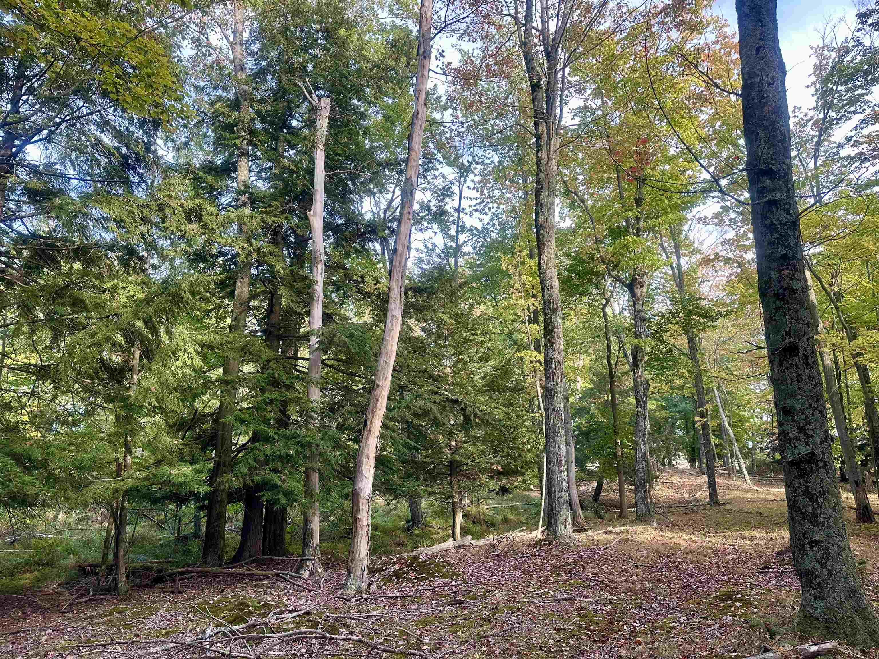 0 St Pierre Road Arcadia, MI 49613 - Photo 27 of 28