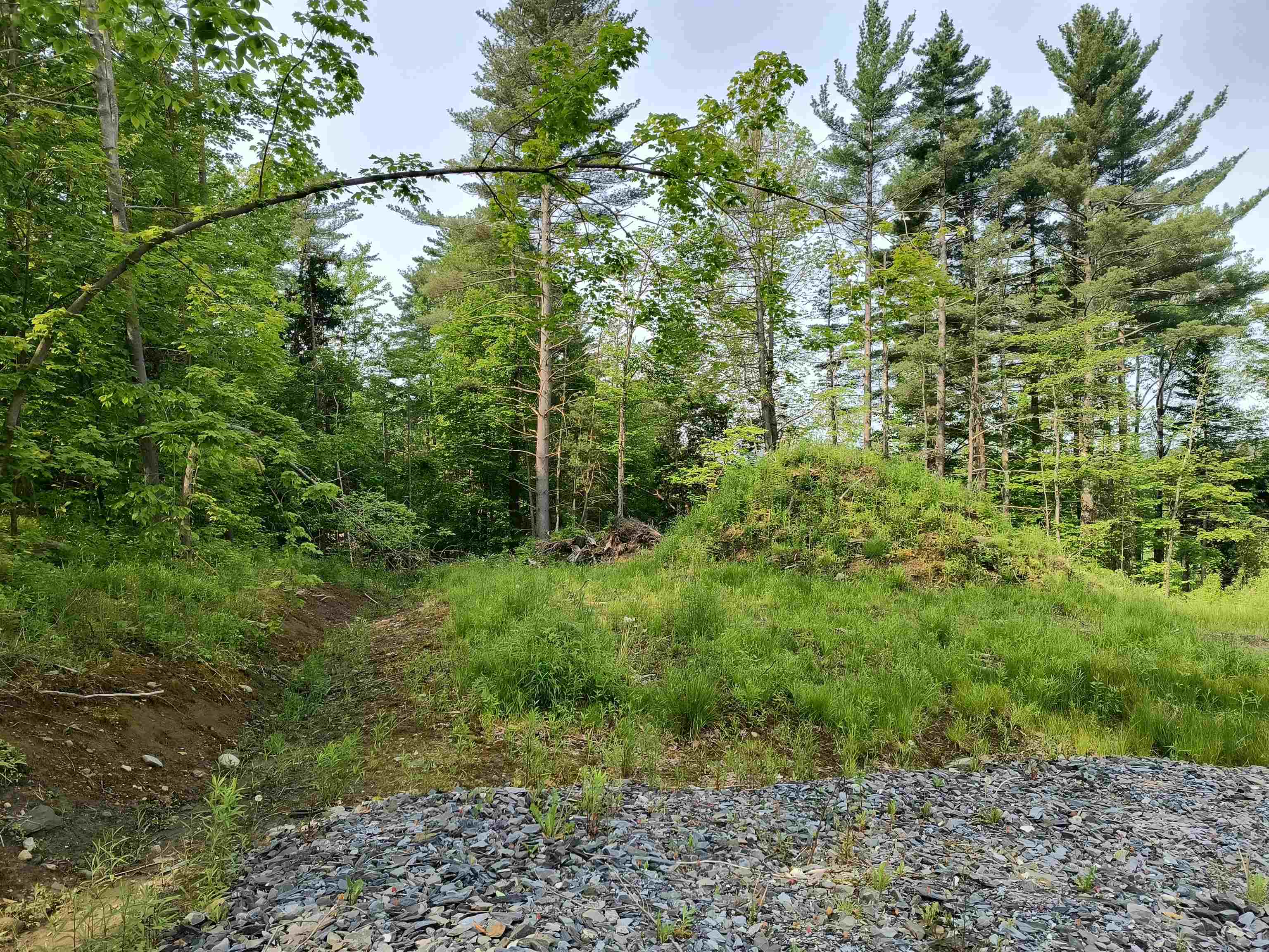 0 East Warren Road Warren, VT 05674 - Photo 9 of 17