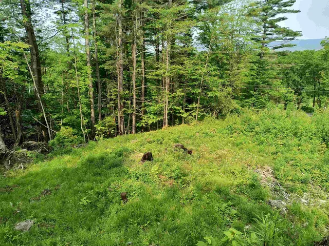 $185,000 | 0 East Warren Road, Warren, VT 05674
