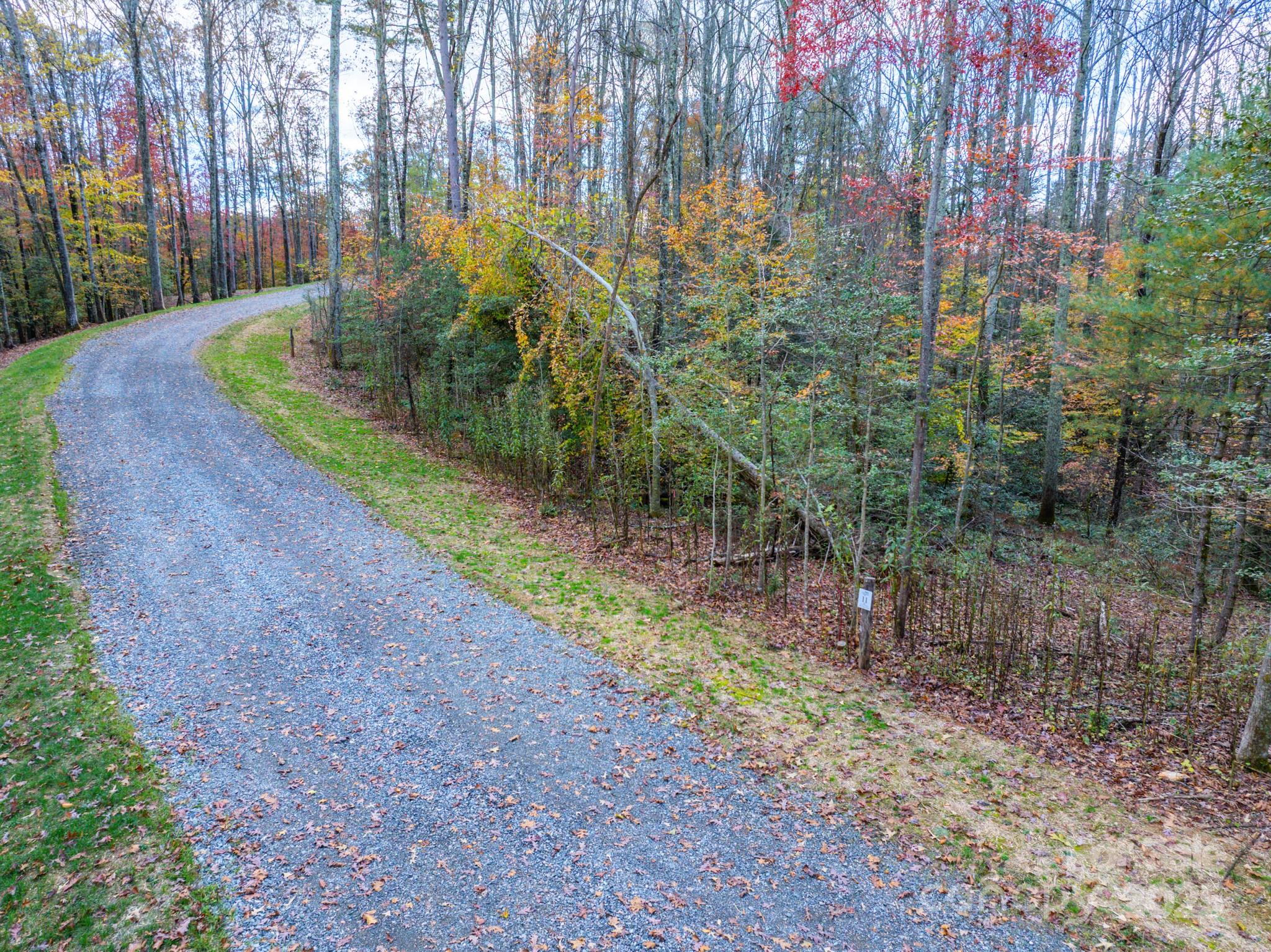 0 Reserve Way, Unit 11 Hendersonville, NC 28792 - Photo 12 of 48 a view of a yard with plants and tree