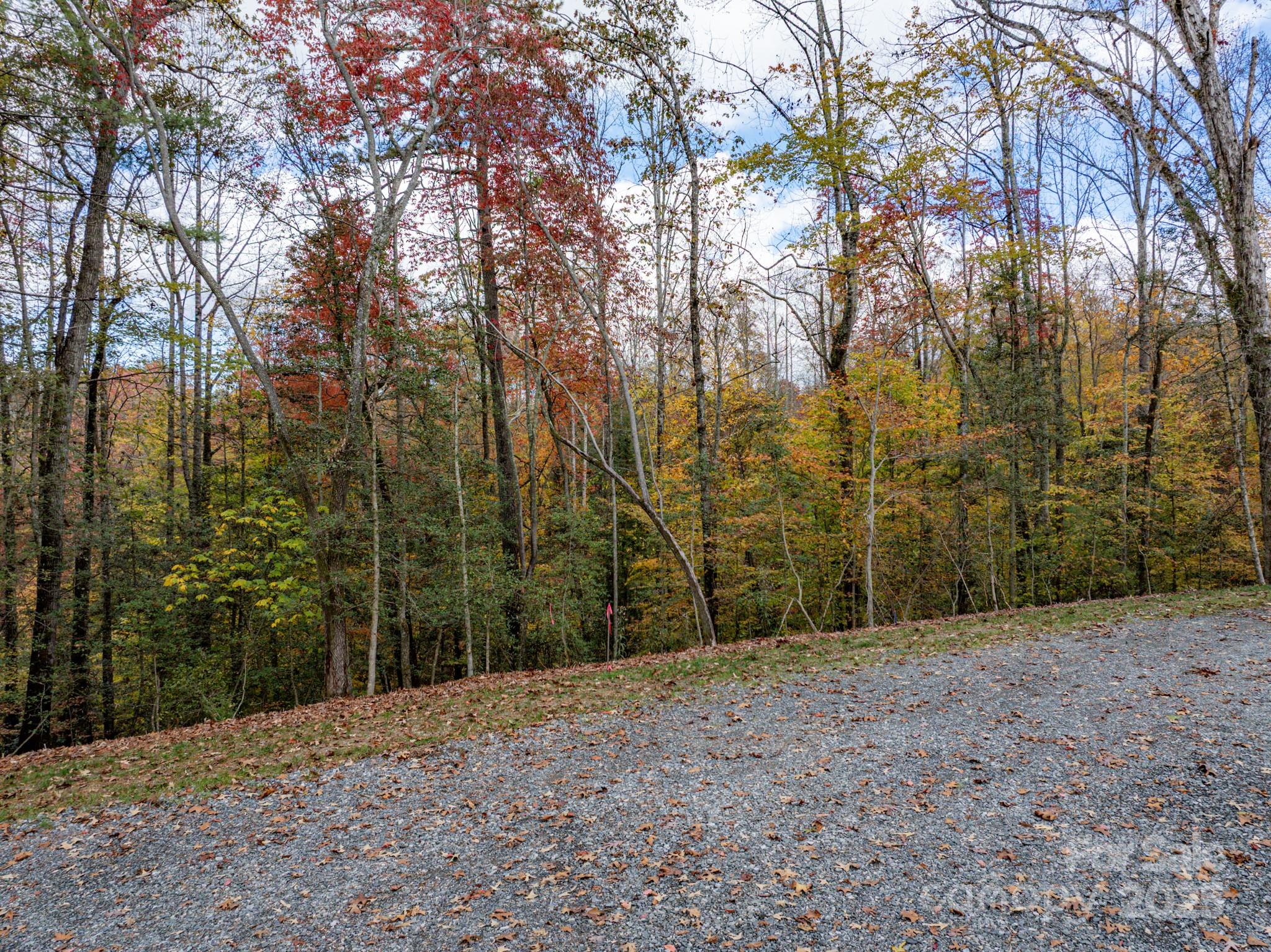 0 Reserve Way, Unit 11 Hendersonville, NC 28792 - Photo 13 of 48 a view of a field with trees in back