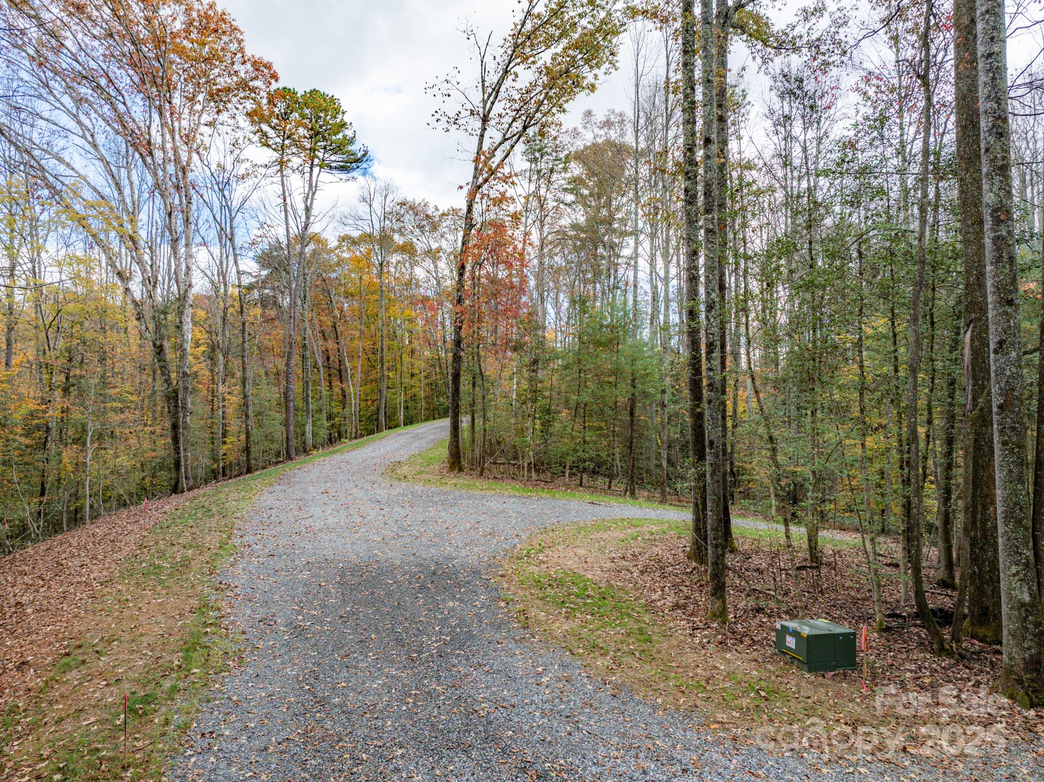 0 Reserve Way, Unit 11 Hendersonville, NC 28792 - Photo 14 of 48 a view of a forest filled with trees
