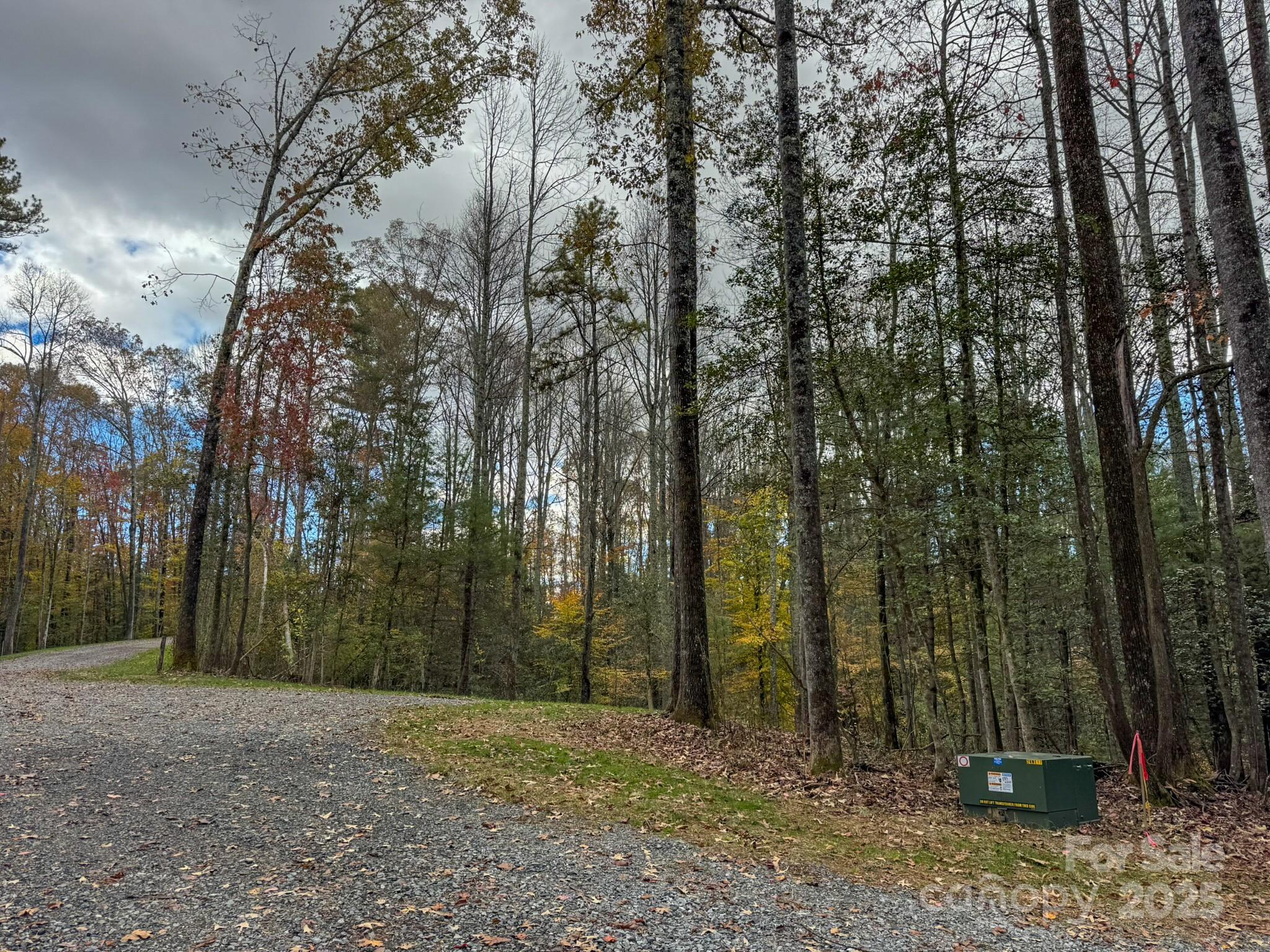 0 Reserve Way, Unit 11 Hendersonville, NC 28792 - Photo 15 of 48 a view of outdoor space with lots of trees