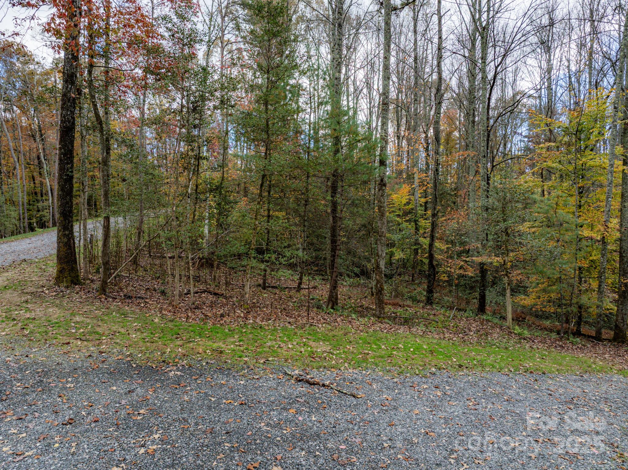 0 Reserve Way, Unit 11 Hendersonville, NC 28792 - Photo 17 of 48 a view of outdoor space and tree